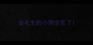 金毛生的小狗全死了