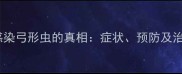 宠物狗感染弓形虫的真相症状预防及治疗指南