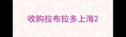收购拉布拉多上海