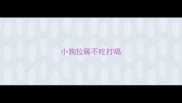 小狗拉稀不吃打嗝