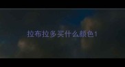 拉布拉多买什么颜色