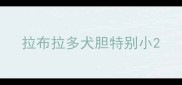 拉布拉多犬胆特别小
