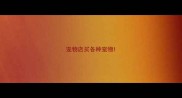 宠物店买各种宠物