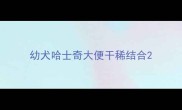 幼犬哈士奇大便干稀结合