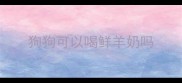 狗狗可以喝鲜羊奶吗
