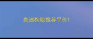 泰迪狗粮推荐平价