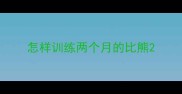 怎样训练两个月的比熊
