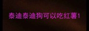 泰迪泰迪狗可以吃红薯