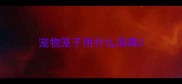 宠物笼子用什么消毒