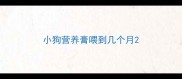 小狗营养膏喂到几个月
