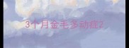 3个月金毛多动症