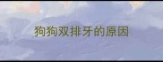 狗狗双排牙的原因