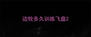边牧多久训练飞盘