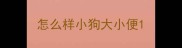 怎么样小狗大小便