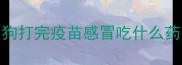 狗打完疫苗感冒吃什么药