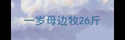 一岁母边牧26斤