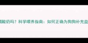拉布拉多能喝酸奶吗科学喂养指南如何正确为狗狗补充益生菌与营养