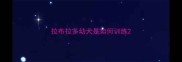拉布拉多幼犬是如何训练