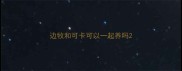边牧和可卡可以一起养吗
