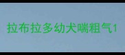 拉布拉多幼犬喘粗气