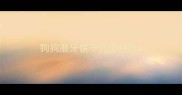 狗狗磨牙饼干几个月吃