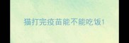 猫打完疫苗能不能吃饭