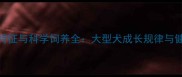 哈士奇体型特征与科学饲养全大型犬成长规律与健康管理指南