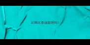 比熊比泰迪聪明吗