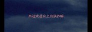 泰迪犬适合上班族养嘛