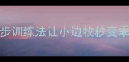 边牧幼犬太皮了怎么教3步训练法让小边牧秒变乖宝宝附超全训练指南