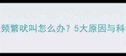拉布拉多犬频繁吠叫怎么办5大原因与科学训练指南