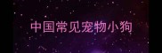 中国常见宠物小狗