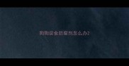 狗狗误食防腐剂怎么办