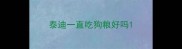 泰迪一直吃狗粮好吗