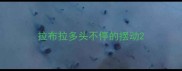 拉布拉多头不停的摆动