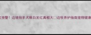 边牧瞳孔变红预警边境牧羊犬眼白发红真相大边牧养护指南宠物健康科普狗狗眼病