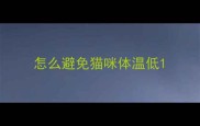怎么避免猫咪体温低