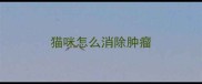 猫咪怎么消除肿瘤