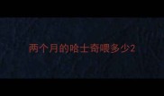 两个月的哈士奇喂多少