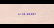 为什么哈士奇很爱掉毛