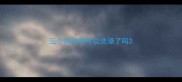 三个月边牧可以洗澡了吗