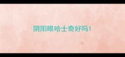 阴阳眼哈士奇好吗