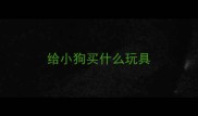 给小狗买什么玩具