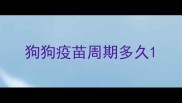 狗狗疫苗周期多久