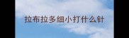 拉布拉多细小打什么针