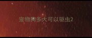 宠物狗多大可以驱虫