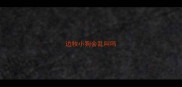 边牧小狗会乱叫吗