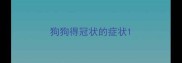 狗狗得冠状的症状
