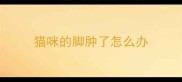 猫咪的脚肿了怎么办