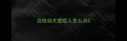 边牧幼犬爱咬人怎么办